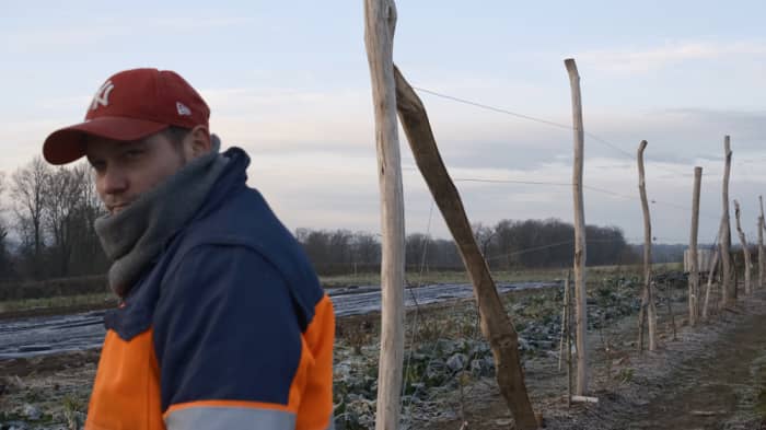 Une première haie nourricière sur nos terrains